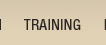 training